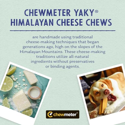 Himalayan Yak Cheese Dog Chews for Aggressive Chewers