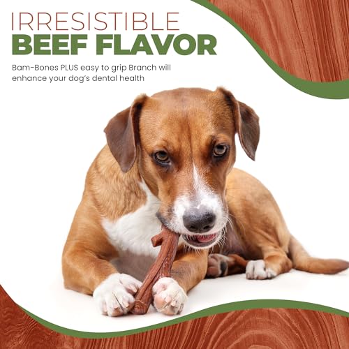 Bamboo Fiber & Nylon Durable Dog Chew Toy