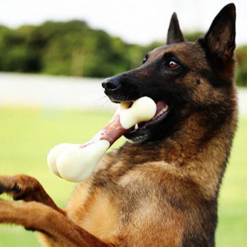 Beef Flavor Dog Chew Toys for Aggressive Chewers
