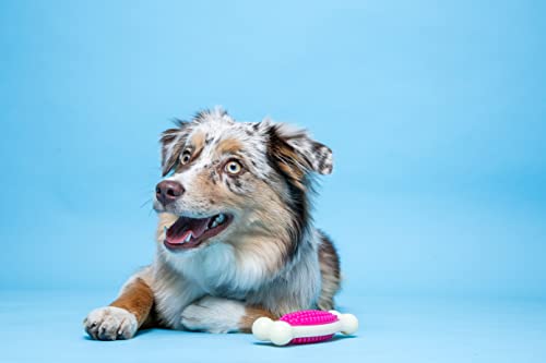 Hartz Tuff Bone Bacon Scented Dog Chew Toy