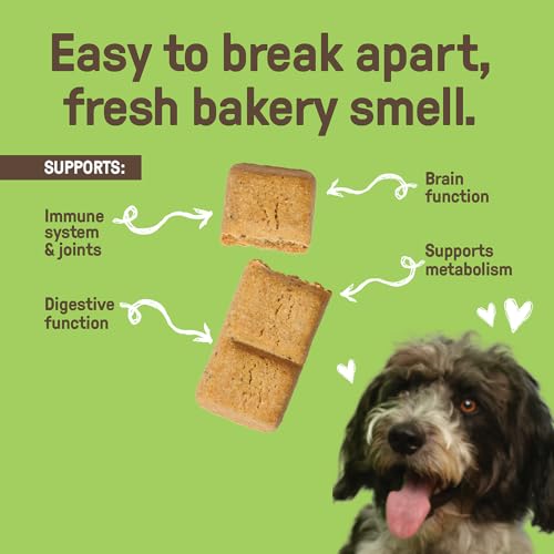 Organic Pumpkin & Chia Dog Biscuits, 10oz (3-pack)