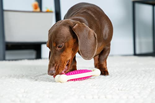 Hartz Tuff Bone Bacon Scented Dog Chew Toy