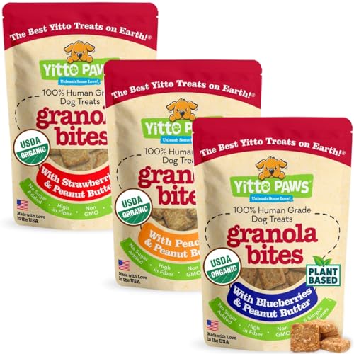 Yitto Paws Organic Dog Treats - Peanut Butter & Fruit Cookies, USA-made [3-Pack]