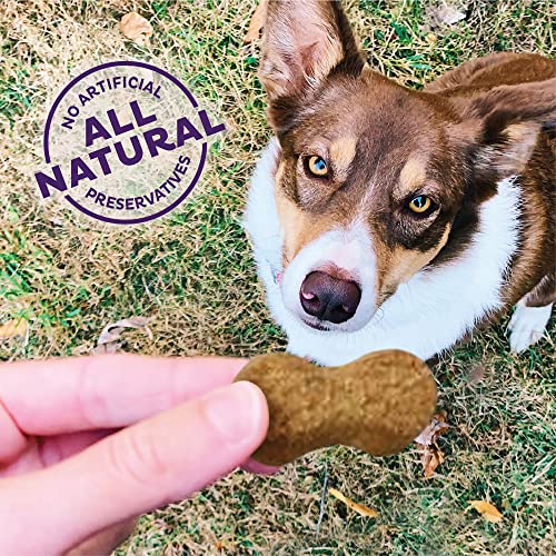 Wellness P-Nutty Assorted Crunchy Biscuit Dog Treats, 20lb