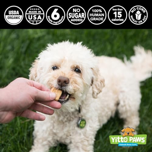 Yitto Paws Organic Dog Treats - Peanut Butter & Fruit Cookies, USA-made [3-Pack]