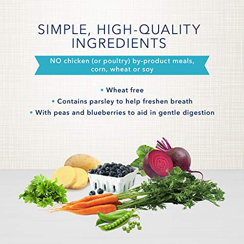 Blue Buffalo Dental Bones Natural Dog Treats, 27-oz Bag