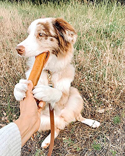 EcoKind Yak Cheese Dog Chews | Healthy & Long-Lasting