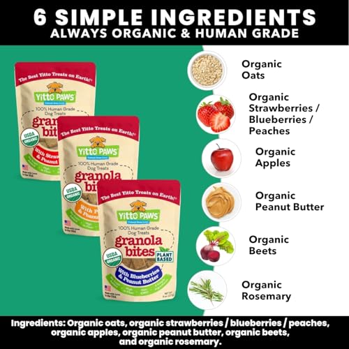 Yitto Paws Organic Dog Treats - Peanut Butter & Fruit Cookies, USA-made [3-Pack]