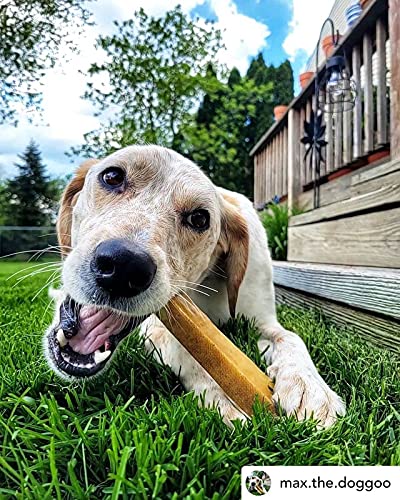 EcoKind Yak Cheese Dog Chews | Healthy & Long-Lasting