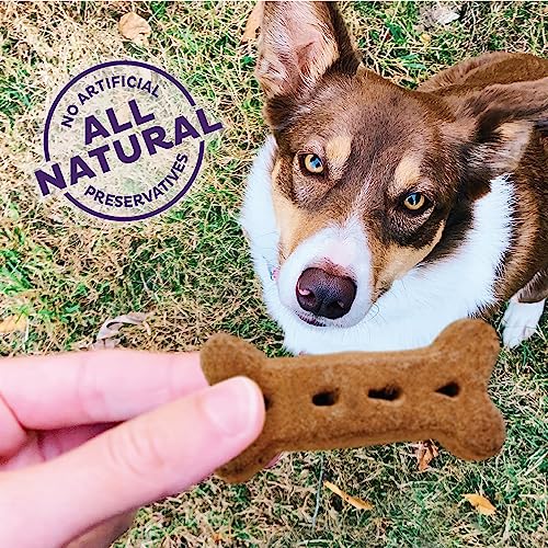 Wellness Original Mix Natural Dog Treats, Oven-Baked Biscuits
