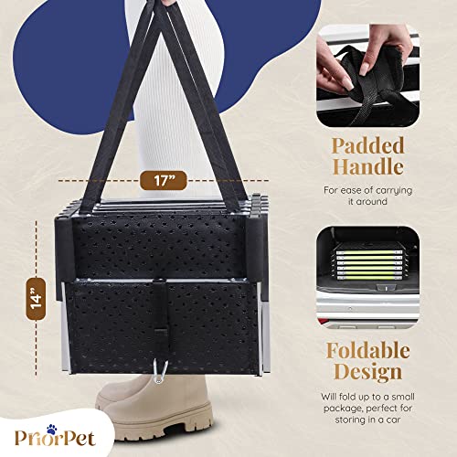 Foldable Glow in the Dark Dog Car Ramp