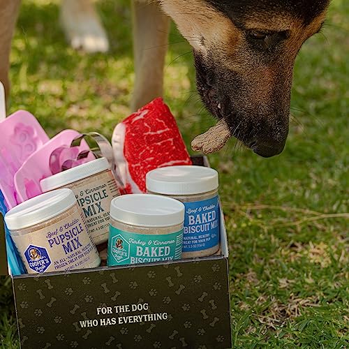 Cooper's Treats Deluxe Doggie Box - Make-at-Home Treats