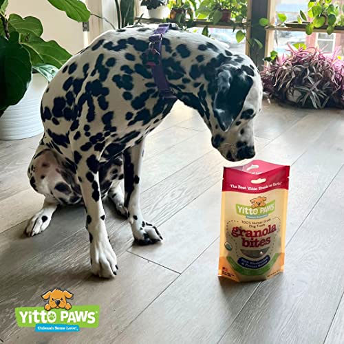 Yitto Paws Organic Dog Treats - Peanut Butter & Fruit Cookies, USA-made [3-Pack]