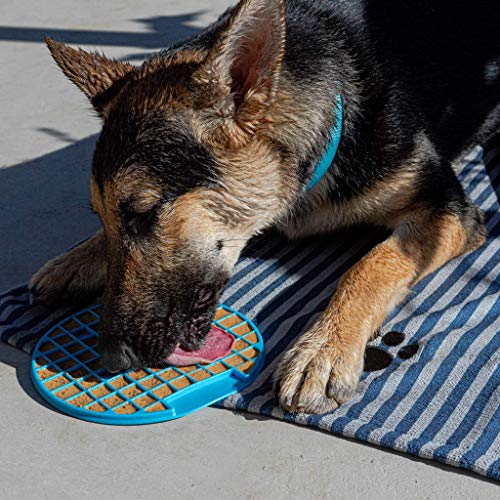 Cooper's Treats Deluxe Doggie Box - Make-at-Home Treats