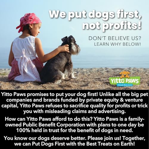 Yitto Paws Organic Dog Treats - Peanut Butter & Fruit Cookies, USA-made [3-Pack]