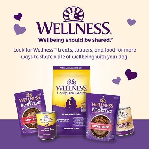 Wellness Original Mix Natural Dog Treats, Oven-Baked Biscuits
