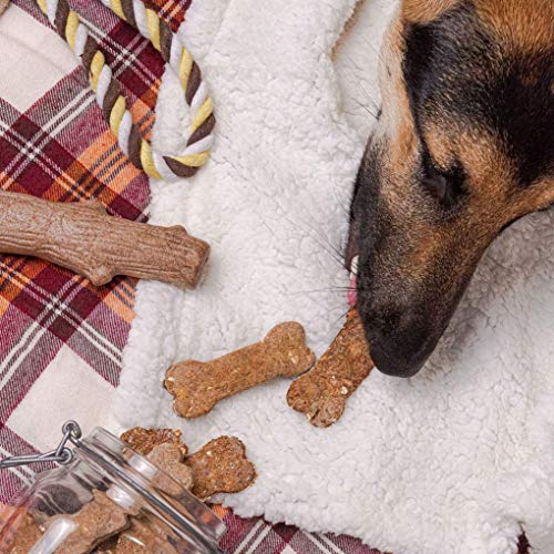 Cooper's Treats Deluxe Doggie Box - Make-at-Home Treats