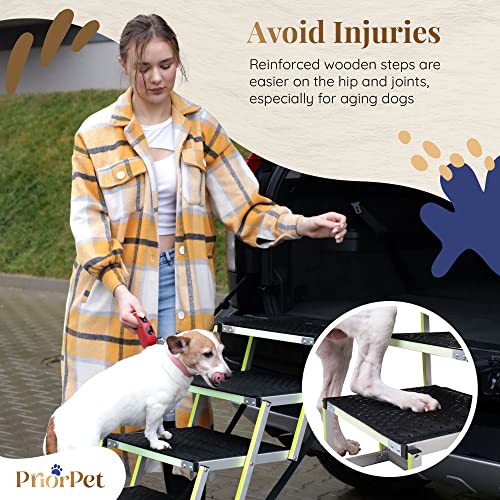 Foldable Glow in the Dark Dog Car Ramp