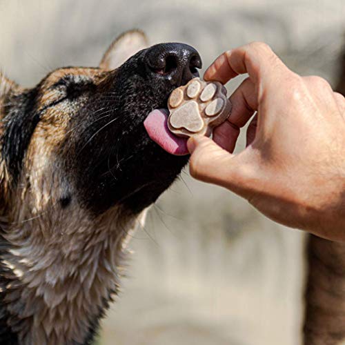 Cooper's Treats Deluxe Doggie Box - Make-at-Home Treats