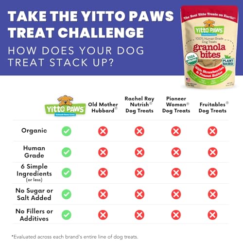 Yitto Paws Organic Dog Treats - Peanut Butter & Fruit Cookies, USA-made [3-Pack]