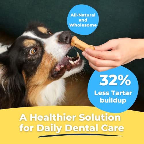 Chicken Flavor Tartar Shield Dental Dog Biscuits | USA Made