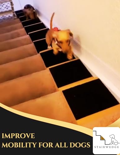 Modular Dog Stairs for Small Pets - Grippy Steps