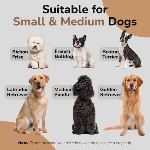 Dog Sofa Bed for Medium Dogs, Soft Velvety Couch