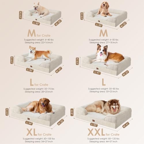 Orthopedic XL Dog Bed with Waterproof Memory Foam