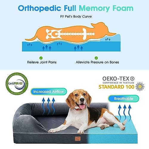 Orthopedic Memory Foam Dog Bed with Bolster Pillow