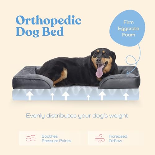 Egg Foam Orthopedic Sofa Bed for Medium Dogs