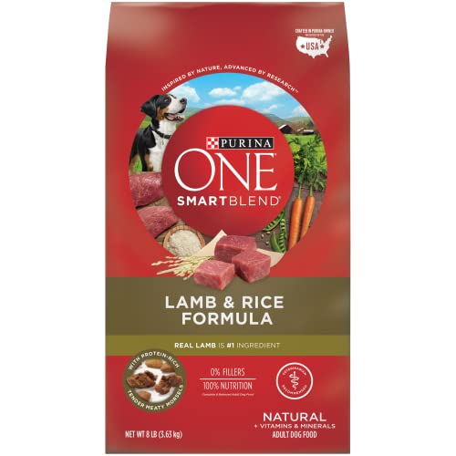 Purina ONE Lamb and Rice Dry Dog Food - 8lb