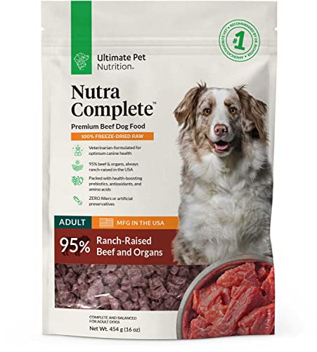 Nutra Complete Raw Dog Food with Antioxidants, Beef