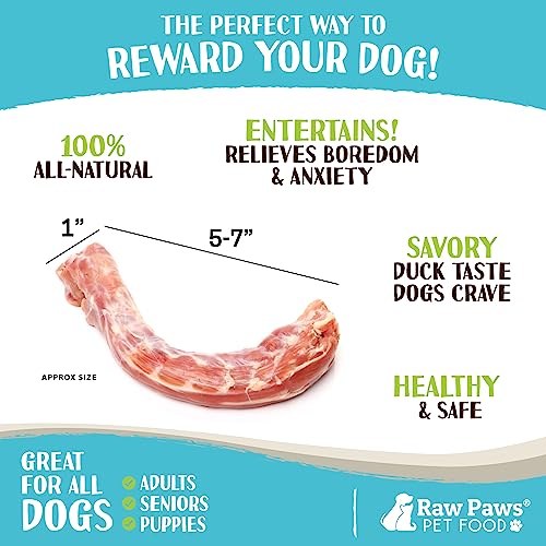USA Made Raw Duck Necks for Dogs, 20 lb