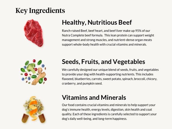 Nutra Complete Raw Dog Food with Antioxidants, Beef