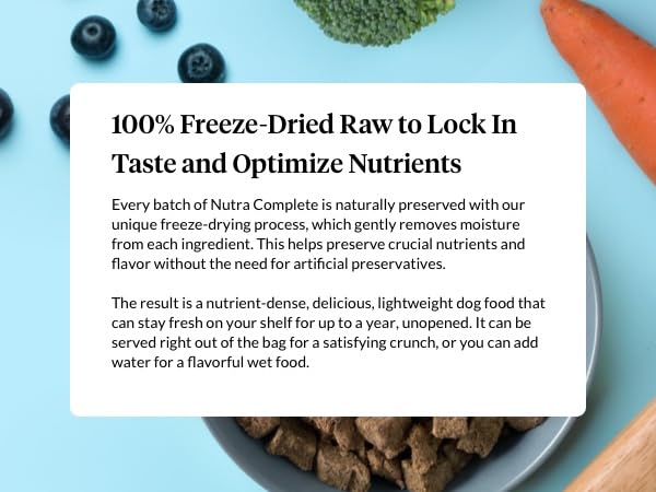 Nutra Complete Raw Dog Food with Antioxidants, Beef