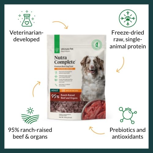 Nutra Complete Raw Dog Food with Antioxidants, Beef