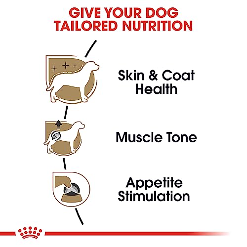 24-count Royal Canin Poodle Adult Wet Dog Food