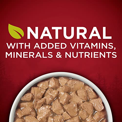 Purina ONE High Protein Wet Dog Food - Beef & Salmon Gravy (12 Pack)