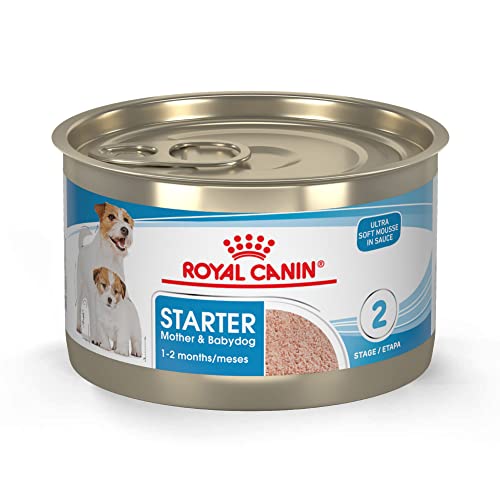 Royal Canin Small Mother & Babydog Wet Dog Food
