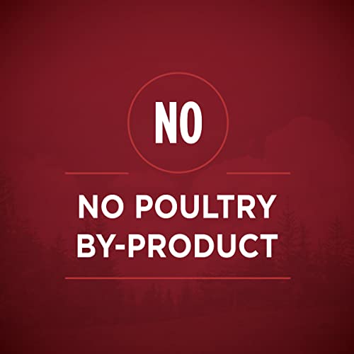 Purina ONE High Protein Wet Dog Food - Beef & Salmon Gravy (12 Pack)