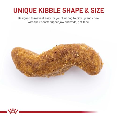 Bulldog Adult Dry Dog Food, 30 lb bag