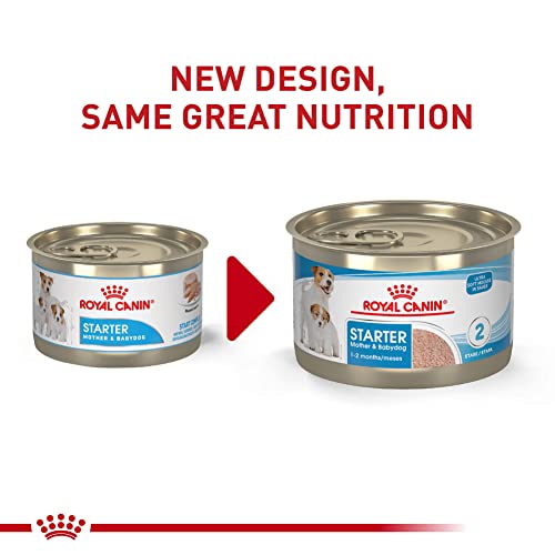 Royal Canin Small Mother & Babydog Wet Dog Food