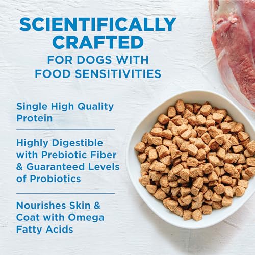 Wellness Simple Grain-Free Salmon and Potato Dog Food