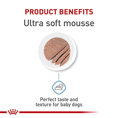 Royal Canin Small Mother & Babydog Wet Dog Food