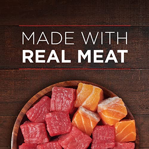 Purina ONE High Protein Wet Dog Food - Beef & Salmon Gravy (12 Pack)