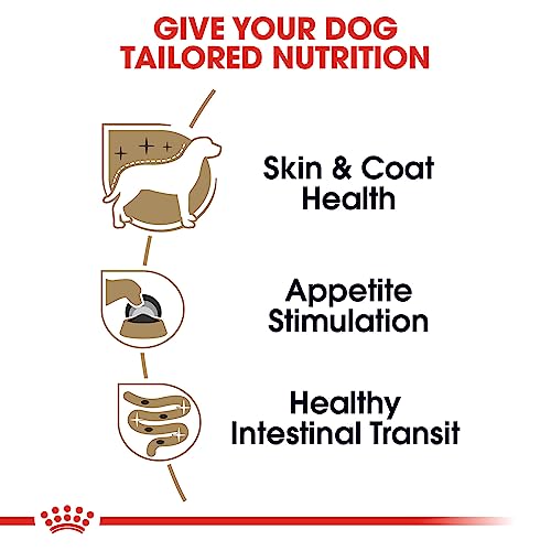 Royal Canin Yorkshire Terrier Adult Wet Dog Food, 3 oz (24-pack)