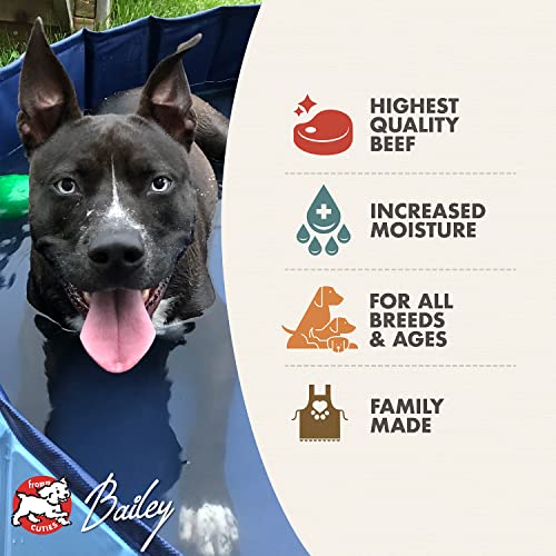 Fromm Four-Star Shredded Beef Dog Food Case