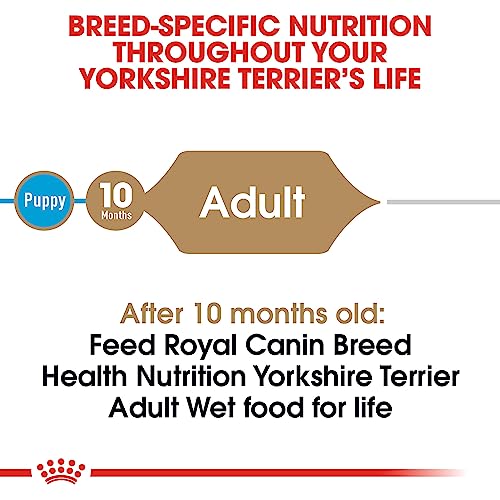 Royal Canin Yorkshire Terrier Adult Wet Dog Food, 3 oz (24-pack)
