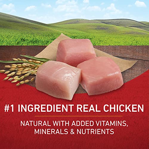 Purina ONE Chicken Rice Dry Dog Food - 8lb