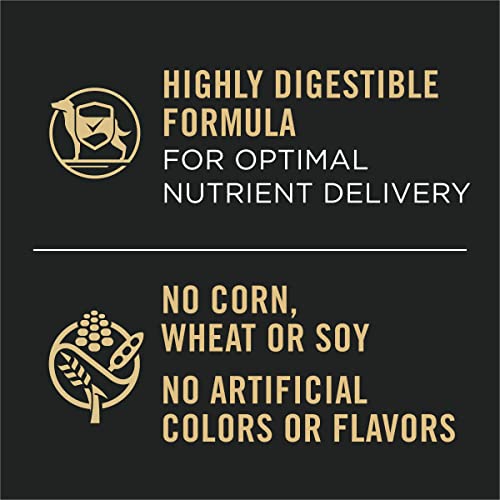 Purina Pro Plan Salmon and Rice Dog Food 30 lb. Bag